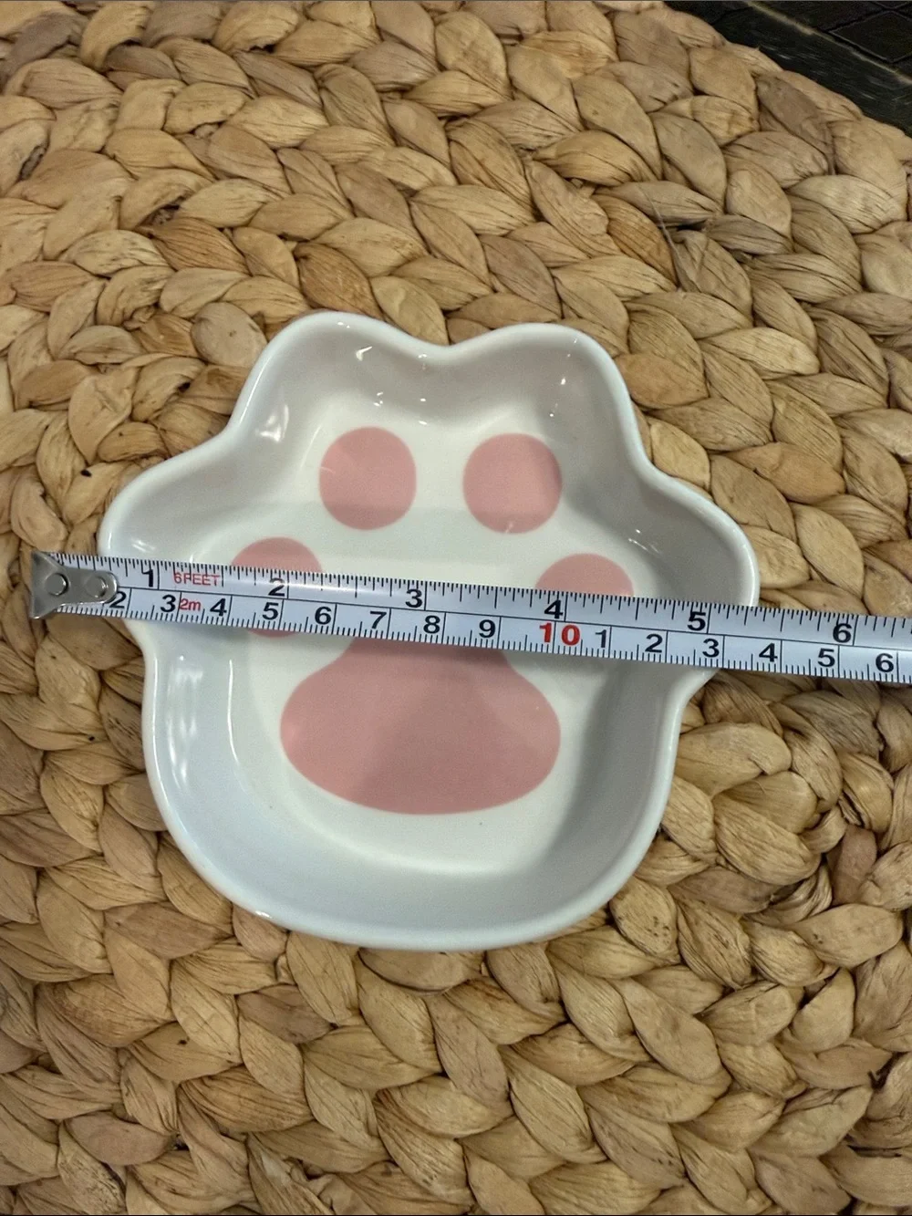 Le Tauci Puppy or Kitten Dish
